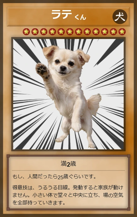 某カードゲーム風 - DogAge2