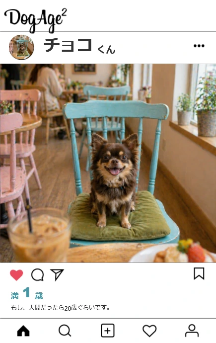 インスタ風 - DogAge2