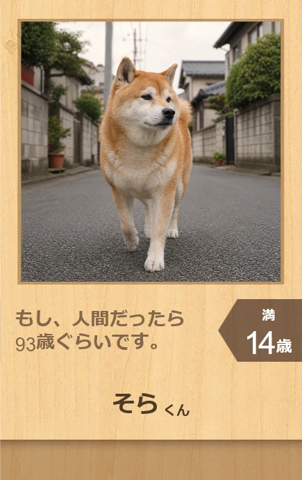 旧DogAge風 - DogAge2