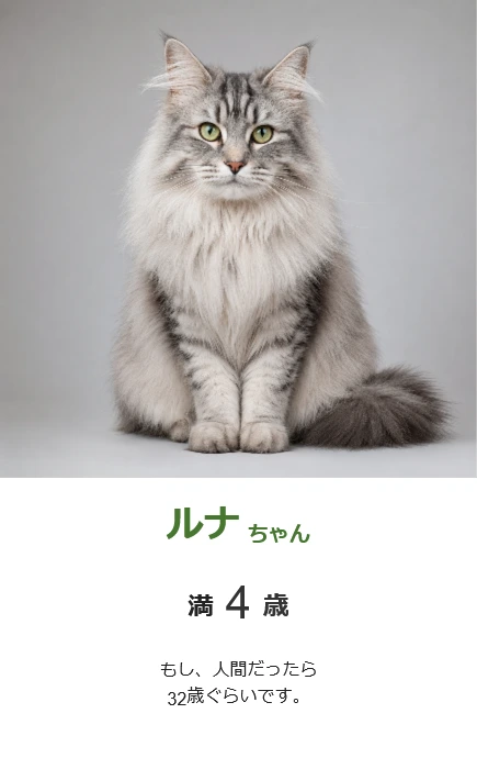 シンプルスタイル - DogAge2