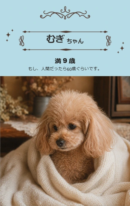 ビンテージ風 - DogAge2