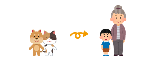 dog age or cat age → human age
