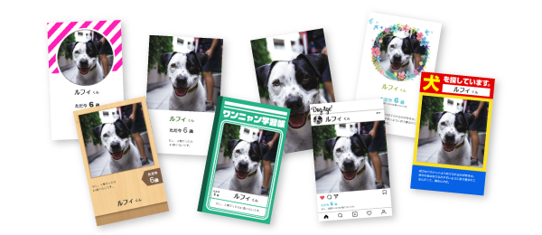 an electronic business card for pets
